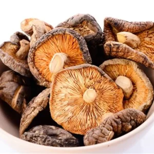 Dried mushrooms